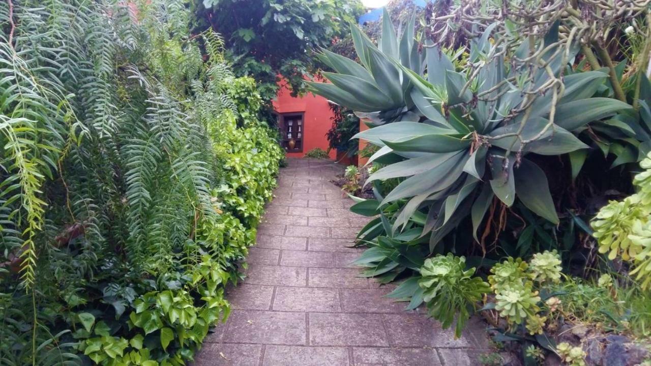Гостьовий будинок Casa Ida Гарачико Екстер'єр фото